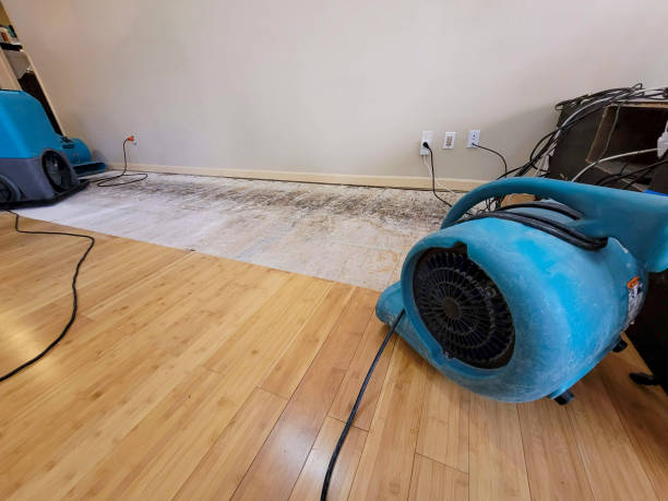 Professional Water Damage Repair technician working in Clayton, MO